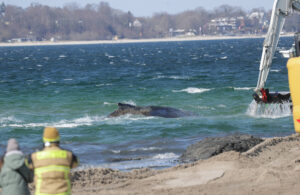 23C988ED-95FD-4F3F-A60C-A78414132B74