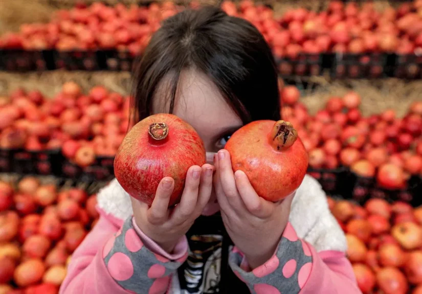 816ECED6-715E-4F8B-AD98-6332EFE5343B