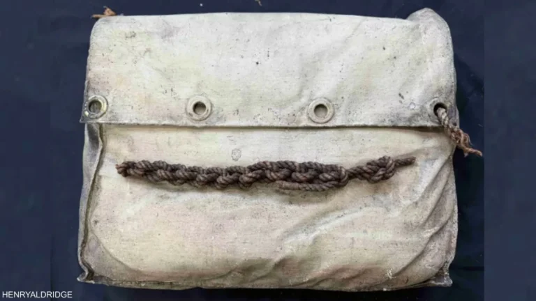 14C4032B-52E8-4EF2-9760-CE7A7645C96C