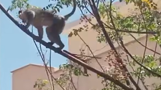 2666FF30-0669-49E4-BF5A-AD0A41165FBC