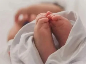 5F2FF767-22C5-4985-9FCF-1D1AAC977C98