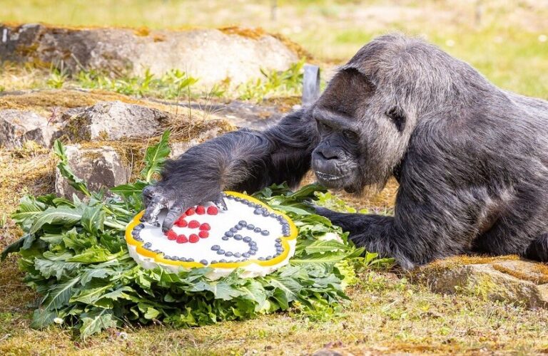 66DBE032-41FA-4D39-B9FF-8E318E06CFD7