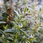 7DFF12F6-0CE1-4BD6-8FD4-99176B6E6009