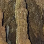 98B57F90-E564-4905-AA94-76A5EDDDA833