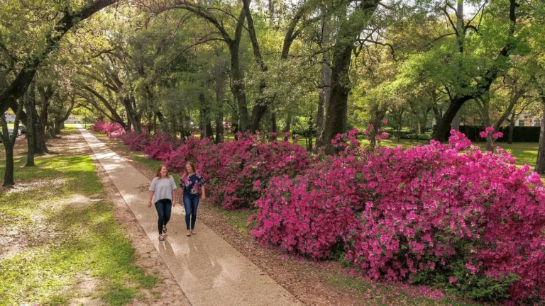 AE72693E-F1C8-4337-AA8D-750747EDC4DA