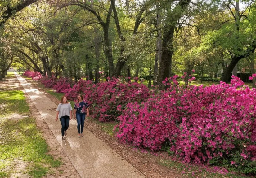 AE72693E-F1C8-4337-AA8D-750747EDC4DA