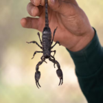 C1ECCF5A-E3CC-4437-9DBF-7736C559823B