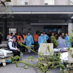 E51AFD32-3653-4357-BA2E-DE46161292AB