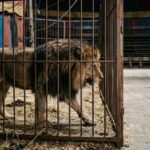 E76D7E27-2F92-431F-92AF-7D9EB745CCD1