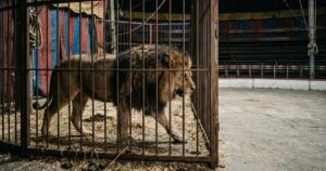 E76D7E27-2F92-431F-92AF-7D9EB745CCD1