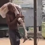 واقعة غريبة في الهند..أخرج رفات شقيقته من القبر ليحضرها الى البنك ..ما القصة؟-فيديو