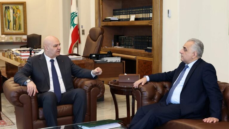 الرئيس عون عرض مع كركي سبل تعزيز الخدمات للمضمونين